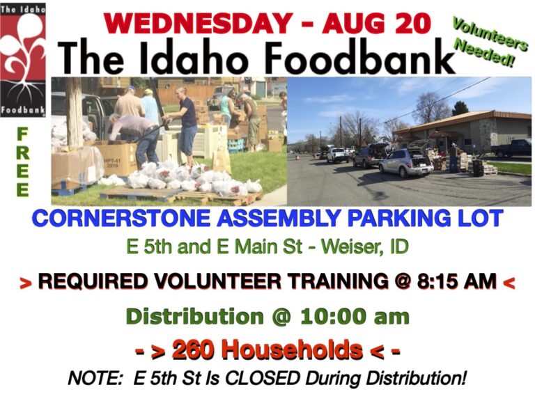 IFB-AUG 20-2025 -Trng