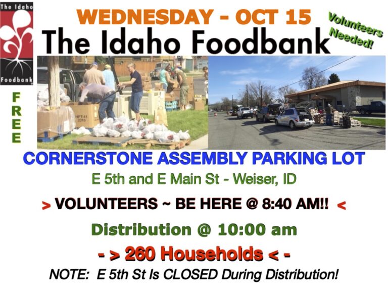 IFB Oct 15 - 2025 (1)