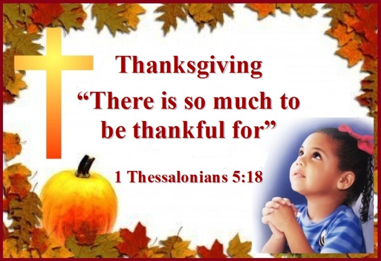 CREATOR: gd-jpeg v1.0 (using IJG JPEG v62), quality = 85